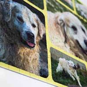 Fotografie puzzle de colaj 500 - 94.99 RON