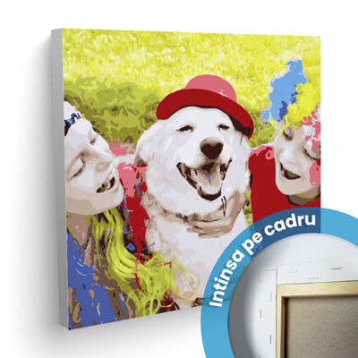 Pictura pe numere 50x50 cu CADRU